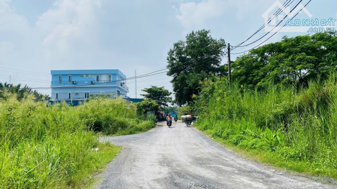 Bán đất biệt thự Quận 9 dự án Chiến Thắng đường Gò Nổi gần chợ Phú Hữu (615m2) 36.6 tr/m2 - 4