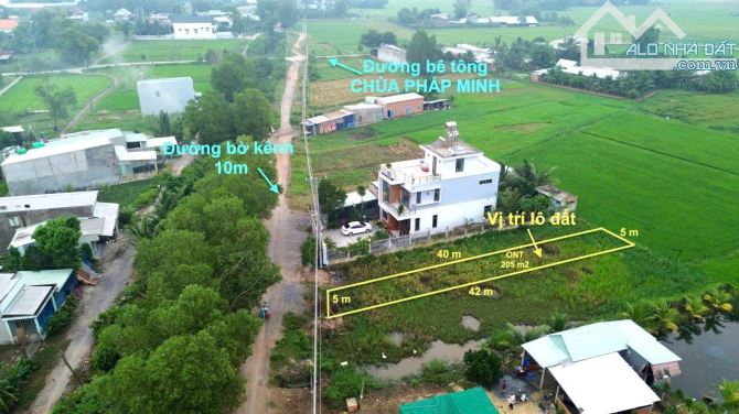 Bán Đất Mỹ Hạnh Nam, DT 205m2 thổ cư SHR , Ấp Giồng Lớn , giá bán 1.23 tỷ.