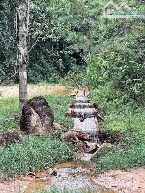 Bán lô đất cực đẹp nằm mặt tiền đường khe sanh, thích hợp làm khu du lịch hoặc làm khu ngh - 1