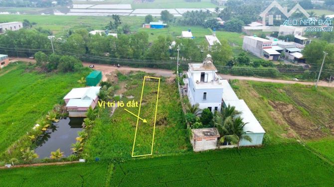 Bán Đất Mỹ Hạnh Nam, DT 205m2 thổ cư SHR , Ấp Giồng Lớn , giá bán 1.23 tỷ. - 1