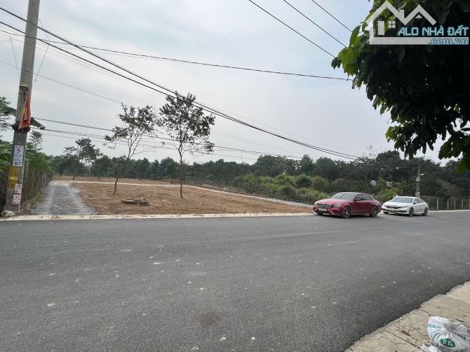 Bán 3136,6m2 đất  mặt đường tỉnh lộ 86 thôn Đông Phương, xã Cẩm Lĩnh giá 3 tỷ - 1