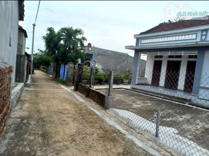 🎄Bán đất dt 175m2 Thôn Lai Nghi,xã Bình Nghi,Tây Sơn, Bình Định - 1