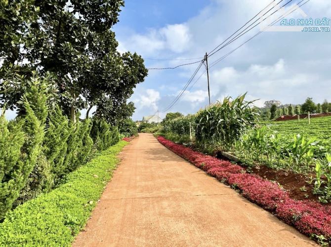 ✨ 10x125m (100m2 ONT). Nằm ngay KDC sung túc, bán kính hơn 2Km đầy đủ mọi tiện ích - 920Tr - 1