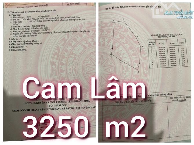 "Bán đất có vườn Xoài Suối Tân, Cam Lâm. Đất cách cao tốc Bắc Nam 300m, Quốc Lộ 1A 1,9km, - 2