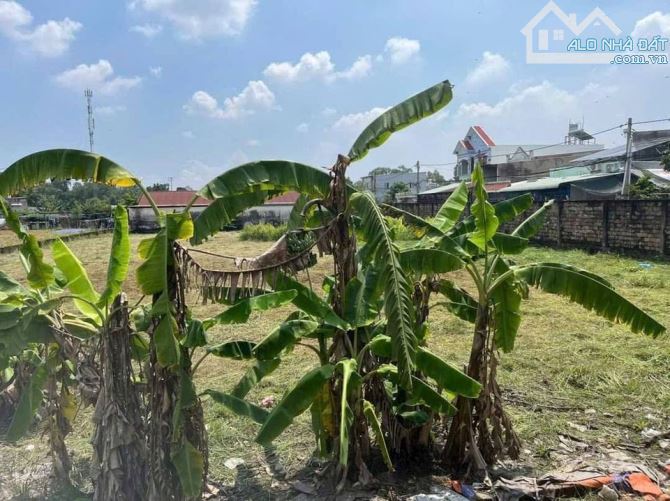 BÀ CHỊ CẦN TIỀN BÁN 175M2 GIÁ 1 TỶ 850 TRIỆU GẦN CHỢ ĐÔNG THẠNH ,BÁCH HÓA XANH - 2