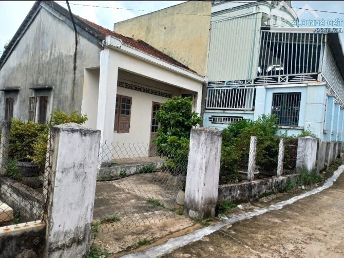 🎄Bán đất dt 175m2 Thôn Lai Nghi,xã Bình Nghi,Tây Sơn, Bình Định - 2
