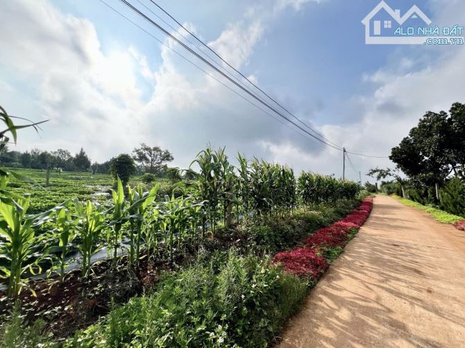 ✨ 10x125m (100m2 ONT). Nằm ngay KDC sung túc, bán kính hơn 2Km đầy đủ mọi tiện ích - 920Tr - 2