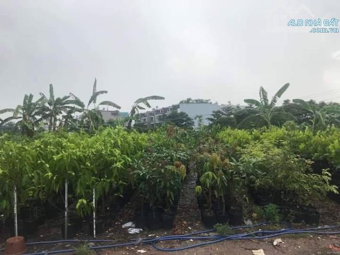 SIÊU HIẾM GÒ VẤP, ĐẤT KHỦNG 9000M2 MẶT TIỀN VIEW SÔNG. GIẢM ĐẾN 70TỶ. GIÁ CHỈ 23TRm - 3
