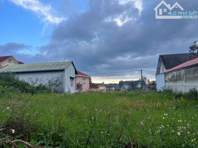 BÁN ĐẤT VIEW CỰC ĐẸP THÀNH PHỐ ĐÀ LẠT VỀ ĐÊM - 4
