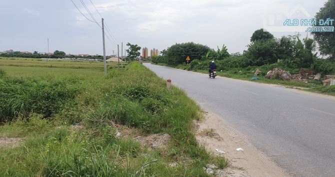 Cty cần bán 2,8 ha đất sxkd Ông Đình Khoái Châu, chỉ 2,5 tr/m2 - 1