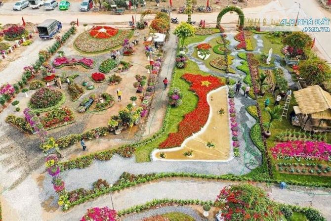 Bán 2 lô góc đấu giá Xuân Quan 109m,127m giáp Ecopark giá đầu tư - 7