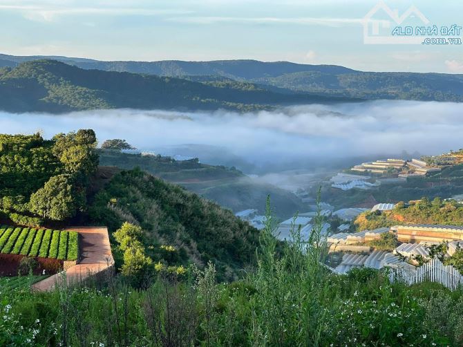 BÁN ĐẤT VIEW SĂN MÂY THUẬN TIỆN NGHĨ DƯỠNG TẠI XUÂN THỌ TẠI ĐÀ LẠT