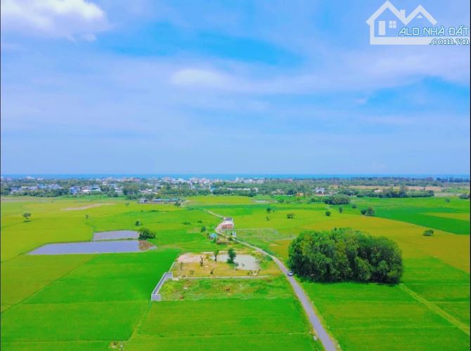 1 sào3( 1300m2) đất thị trấn Phước Hải, ngang 27m mặt tiền, có 300 thổ cư, view cực đẹp - 1