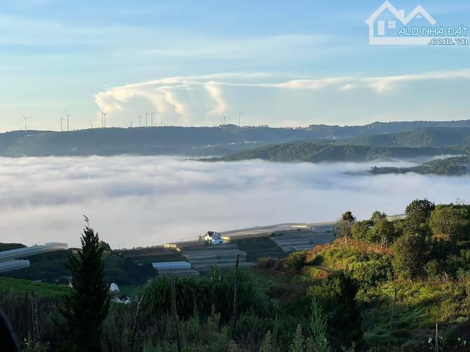 BÁN ĐẤT VIEW SĂN MÂY THUẬN TIỆN NGHĨ DƯỠNG TẠI XUÂN THỌ TẠI ĐÀ LẠT - 1