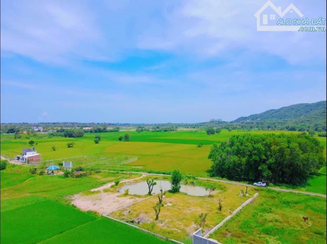 1 sào3( 1300m2) đất thị trấn Phước Hải, ngang 27m mặt tiền, có 300 thổ cư, view cực đẹp - 2