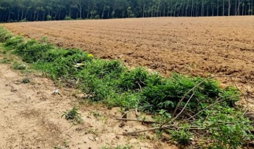 BÁN ĐẤT VIEW SĂN MÂY THUẬN TIỆN NGHĨ DƯỠNG TẠI XUÂN THỌ TẠI ĐÀ LẠT - 2