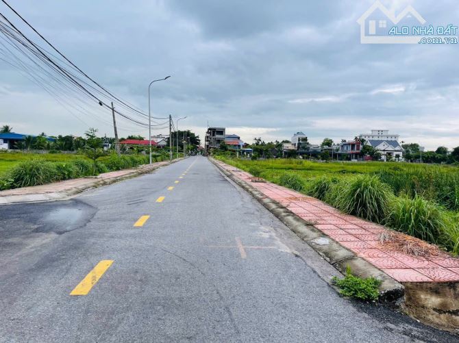 Bán đất Cẩm La - Thanh Sơn - Kiến Thụy - Hải Phòng - 5