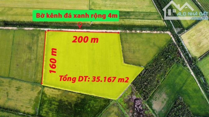 Hơn 3,5 mẫu đất lúa mặt tiền đường ô tô xã Mỹ Thạnh Đông, Đức Huệ, Long An...giá đầu tư - 1