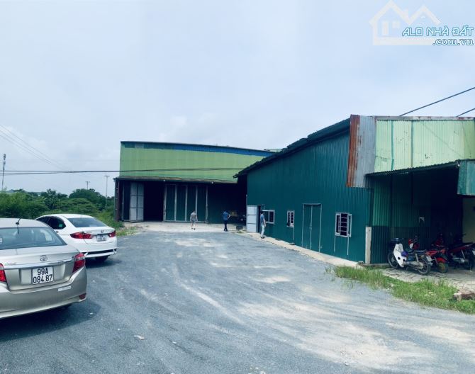 Cho thuê 700m2 có Cẩu, Văn Tự, Thường Tín - 1