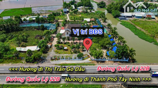 ✈️ Quán Cà Phê nhà vườn 7000m2 tại Gò Dầu , Tây Ninh. MT quốc lộ 22B - 12