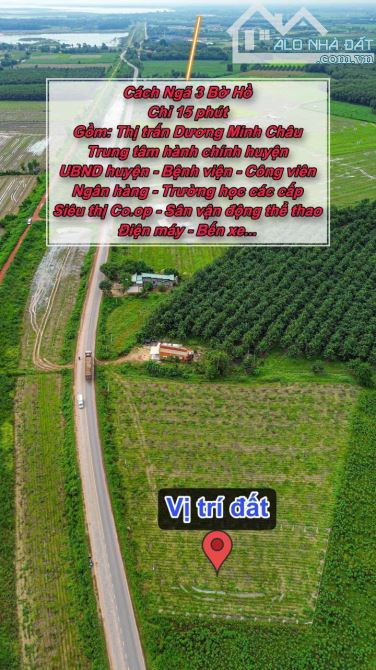 ✨ 28M Ngang Mặt tiền Tỉnh lộ 781B (LG: 15M). Tổng diện tích: 1.100m2 (300m2 ONT) - 3.08 Tỷ - 12