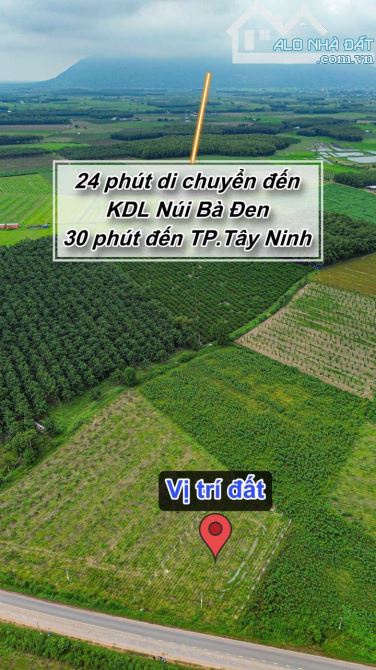 ✨ 28M Ngang Mặt tiền Tỉnh lộ 781B (LG: 15M). Tổng diện tích: 1.100m2 (300m2 ONT) - 3.08 Tỷ - 13