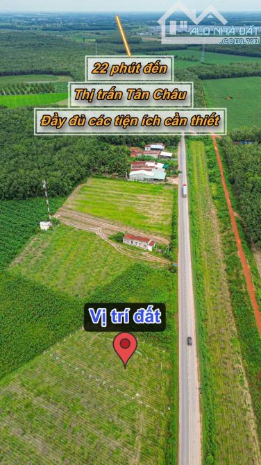 ✨ 28M Ngang Mặt tiền Tỉnh lộ 781B (LG: 15M). Tổng diện tích: 1.100m2 (300m2 ONT) - 3.08 Tỷ - 15