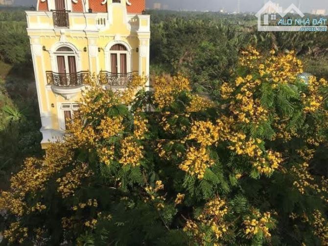 Bán nhà Cát Lái dự án Ninh Giang Quận 2 đường Nguyễn Thị Định (85m2) 7.5 tỷ ~ 88 tr/m2 - 4