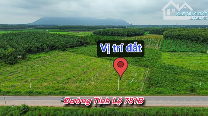 ✨ 28M Ngang Mặt tiền Tỉnh lộ 781B (LG: 15M). Tổng diện tích: 1.100m2 (300m2 ONT) - 3.08 Tỷ - 5