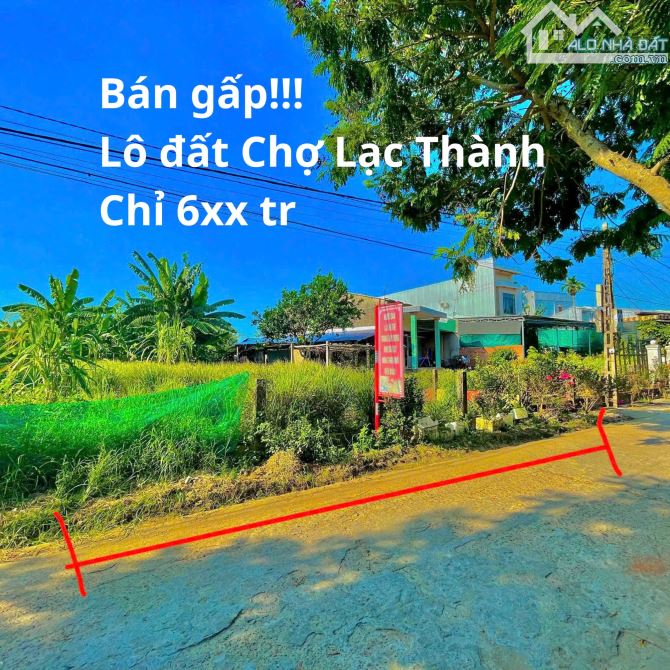 [HOT] THIẾU VỐN ĐẦU TƯ: BÁN NHANH ĐẤT TX. ĐIỆN BÀN ĐỂ LẤY TIỀN GẤP!