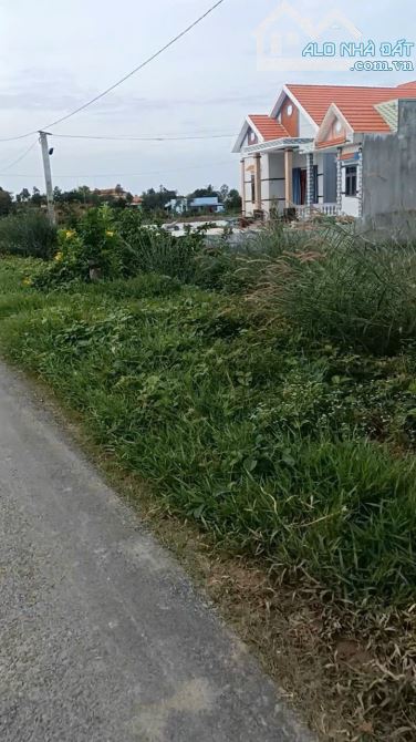Bán đất mặt tiền 1534m2 ở thủ thừa long an giá 2,9 tỷ - 2
