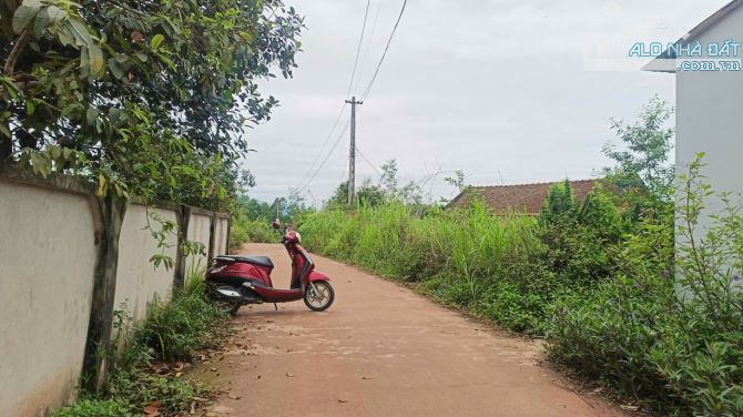 Bán đất Sóc Sơn, lô góc, trục chính thôn, đường 2 ô tô, nhỉnh 2tr - THÙY BẮC SƠN - 2