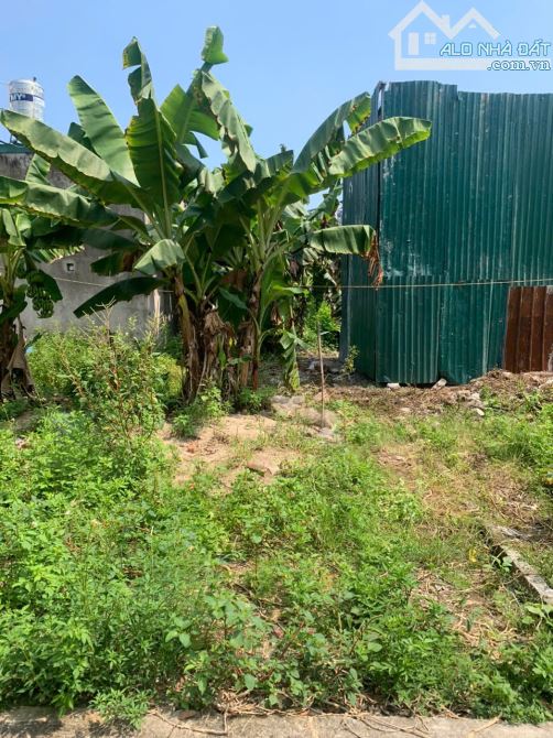 Bán đất Đông Thiên-DT 56 m2-PHÂN LÔ-TÁCH THỬA-NGÕ RỘNG THÔNG THOÁNG-Ô TÔ ĐỖ CỬA.