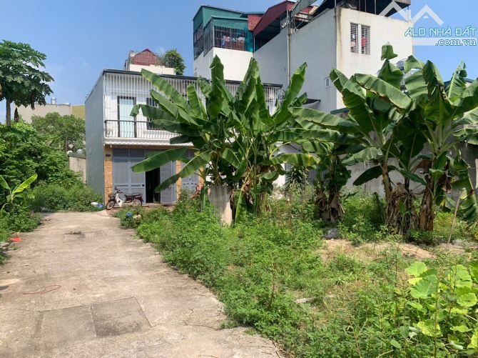 Bán đất Đông Thiên-DT 56 m2-PHÂN LÔ-TÁCH THỬA-NGÕ RỘNG THÔNG THOÁNG-Ô TÔ ĐỖ CỬA. - 1