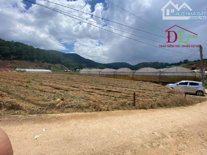 🏡⛺️🏞 ĐẤT MIMOSA P10 ĐÀ LẠT - 2.540M2 GIÁ CHỈ 2,5 TRIỆU/ M2 - VIEW RỪNG THÔNG NGUYÊN SINH - 1