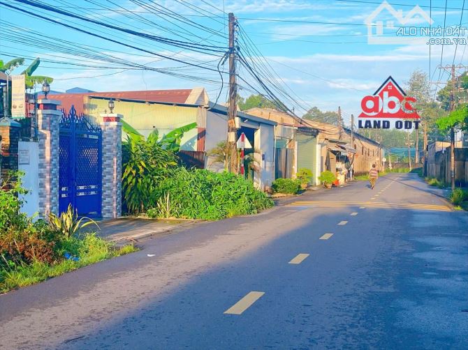 D316 Bình minh trảng bom sổ sẵn sàng công chứng trong ngày  💰1ty250tr  🏠 DT 5x21 = 105m2 - 2