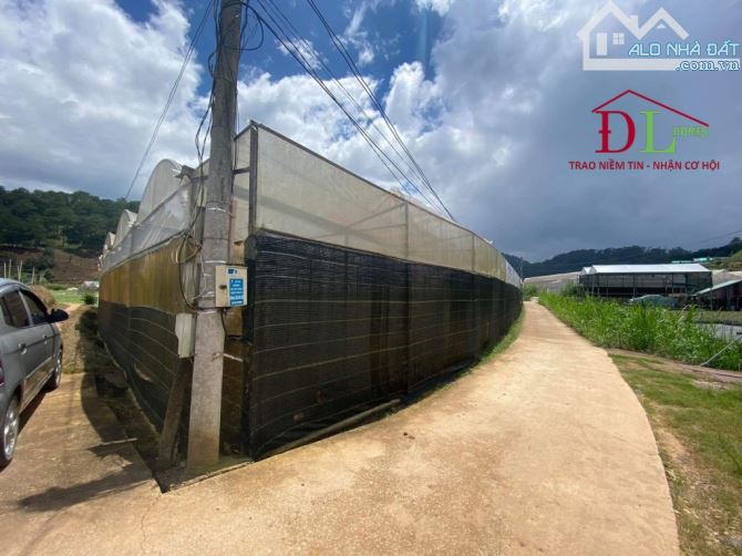 🏡⛺️🏞 ĐẤT MIMOSA P10 ĐÀ LẠT - 2.540M2 GIÁ CHỈ 2,5 TRIỆU/ M2 - VIEW RỪNG THÔNG NGUYÊN SINH - 2