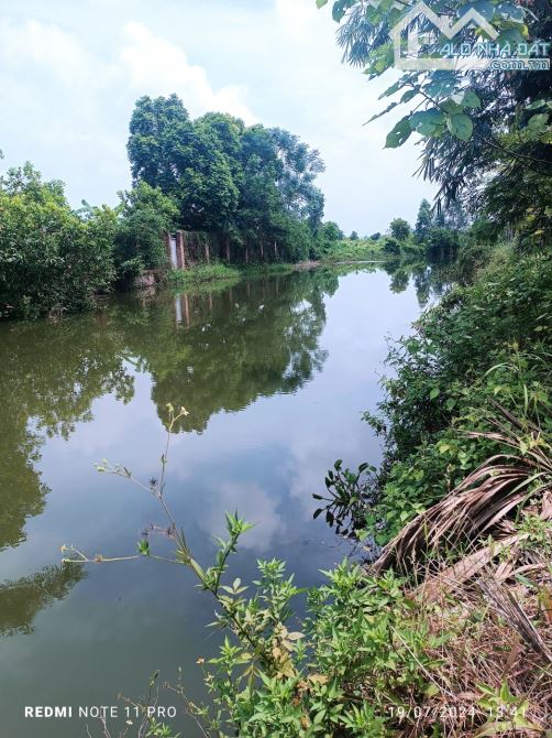 BÁN NHANH 1821M ĐẤT LÂM TRƯỜNG, MINH PHÚ, SÓC SƠN. VIEW SUỐI. - 2