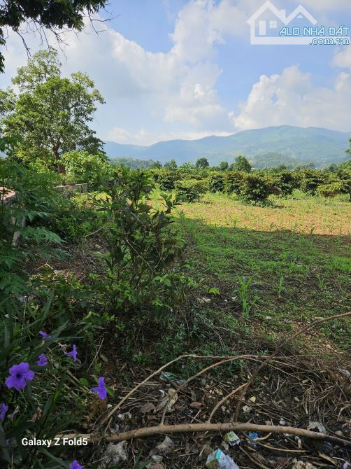 Bán gấp 1628m2 đất thôn Đông Nam, Nam Phương Tiến, Chương Mỹ, phân lô cực đẹp, dân cư đông - 3