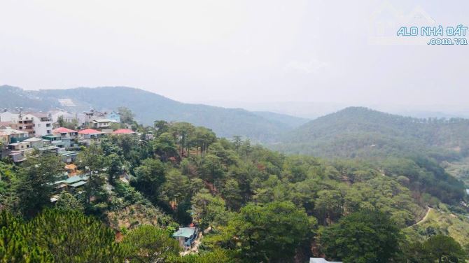 Bán lô đất 1678m2 view thông xanh thực tế 2600m2 cạnh Dinh 1 Trần Quang Diệu Đà Lạt 71 tỷ - 1