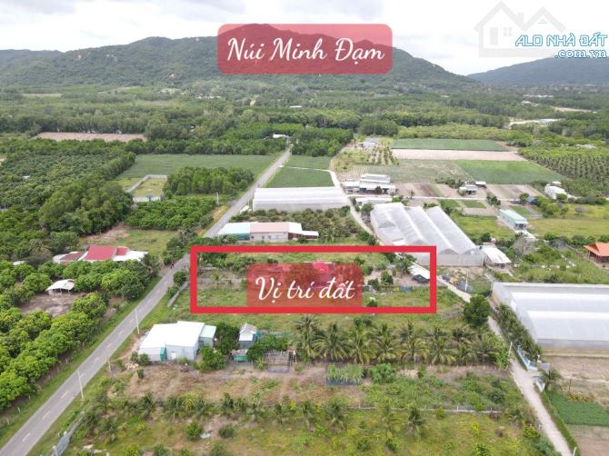 Long Mỹ, Phước Hải, 1220m2, có 14,5m mặt tiền nhựa và 19,5m mặt tiền bê tông, có nhà vườn - 1