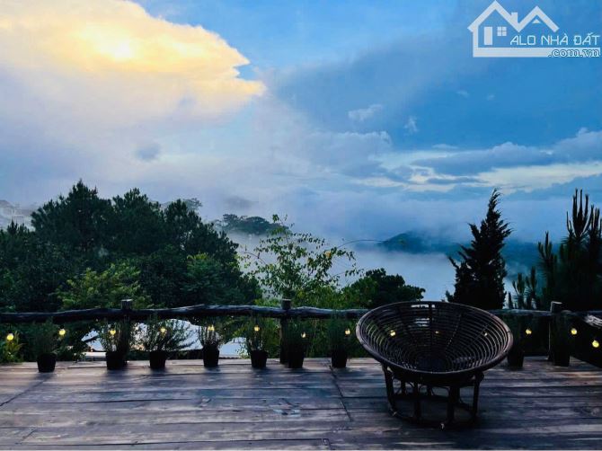 Bán lô đất 1678m2 view thông xanh thực tế 2600m2 cạnh Dinh 1 Trần Quang Diệu Đà Lạt 71 tỷ - 2