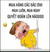 cần bán lô đất hẻm đường hoàng văn thụ phường 7 thành phố vungc tàu