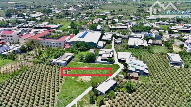 Đất mặt tiền bê tông trong khu dân cư xã Hàm Cường - 1