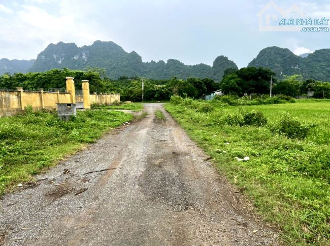 23620m Rừng Sản Xuất Kèm 427m Đất Ở - 1ha Bằng Phẳng Như Sân Bay - 1.4ha Đồi Thoải Đẹp - 1