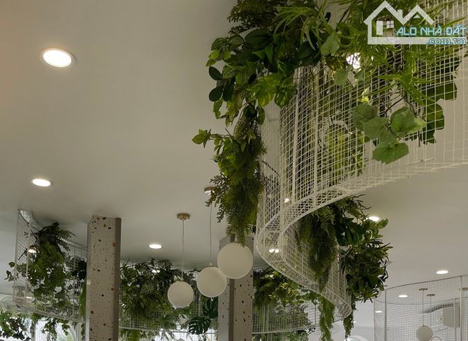 SIÊU PHẨM ĐẲNG CẤP TỪ HOA HỒ TÂY 355M2x5T, MT 11M, CHÀO 315 TỶ - 2