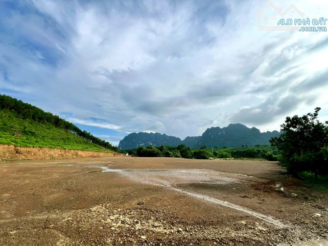 23620m Rừng Sản Xuất Kèm 427m Đất Ở - 1ha Bằng Phẳng Như Sân Bay - 1.4ha Đồi Thoải Đẹp - 3