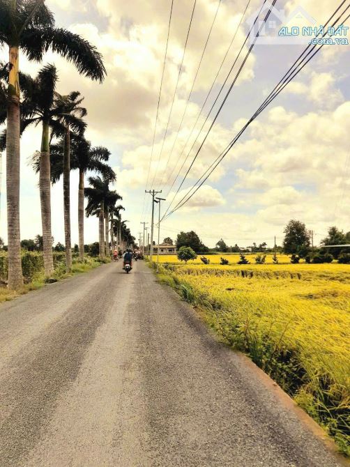 Quá ngộp, 185m2 đất thổ 5x 37m, đường ô tô Tân Hòa, 495 tr - 3