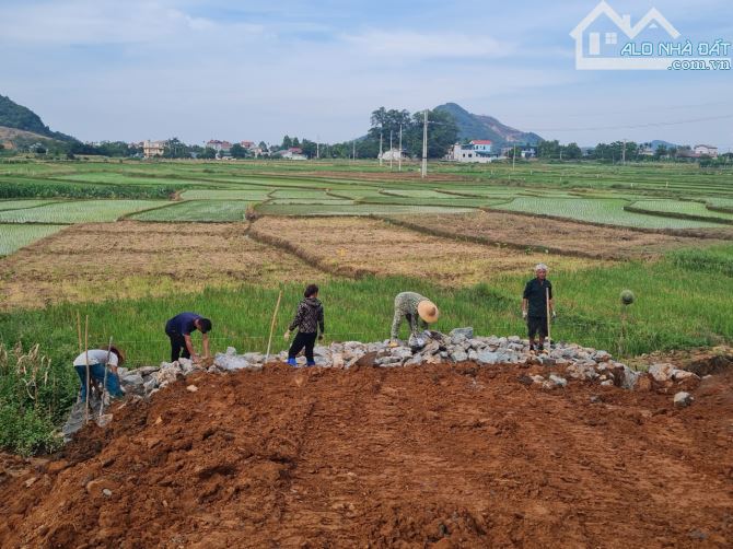 Cần bán 7000m2, sổ HN, TL 446, Yên Bình. View núi Nam Viên, bám cánh đồng. Giá 4tr/m