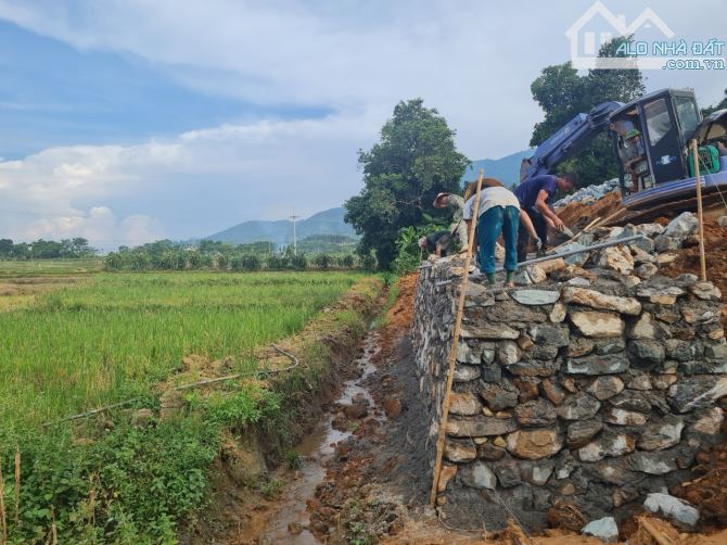 Cần bán 7000m2, sổ HN, TL 446, Yên Bình. View núi Nam Viên, bám cánh đồng. Giá 4tr/m - 2